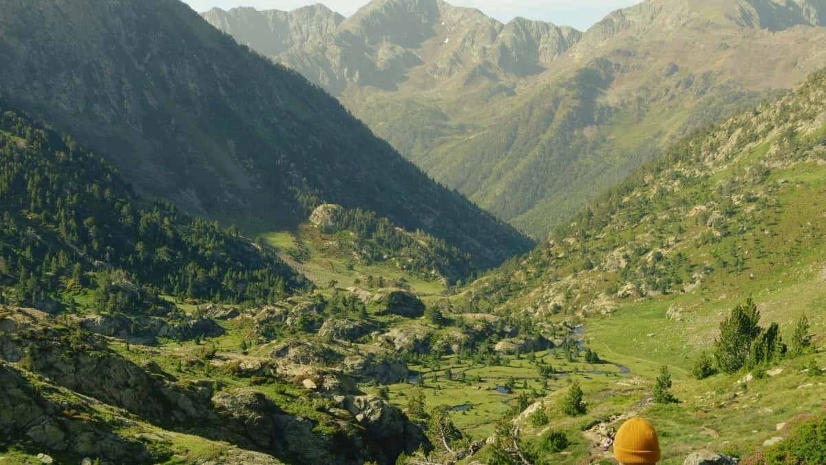 2025 Switzerland Twitter Cijene Oglasa za Bosnu i Hercegovinu