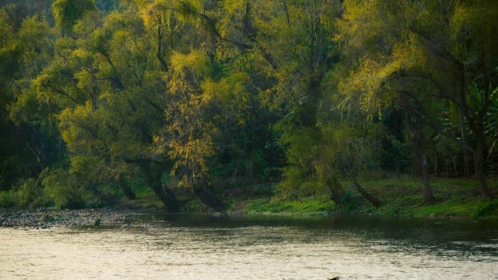 2025 Hungary Instagram cijene oglašavanja za Bosnu i Hercegovinu