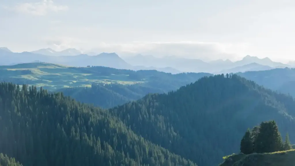 Praktičan vodič za kreativce iz BiH: kako kontaktirati novozelandske beauty i skincare brendove preko vkontakte, strategije outreacha, pregovori za uzorke i lokalne taktike za bolji odgovor.
