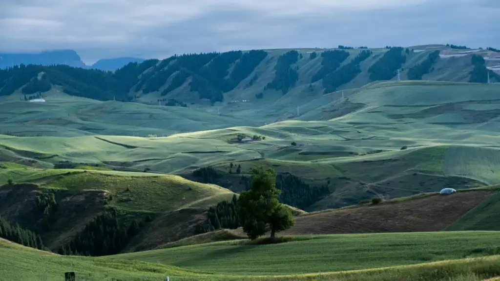 Praktičan vodič za kreatore iz BiH: kako doprijeti do austrijskih brendova preko WeChata i pisati duge, vjerodostojne review-e koji donose suradnje.