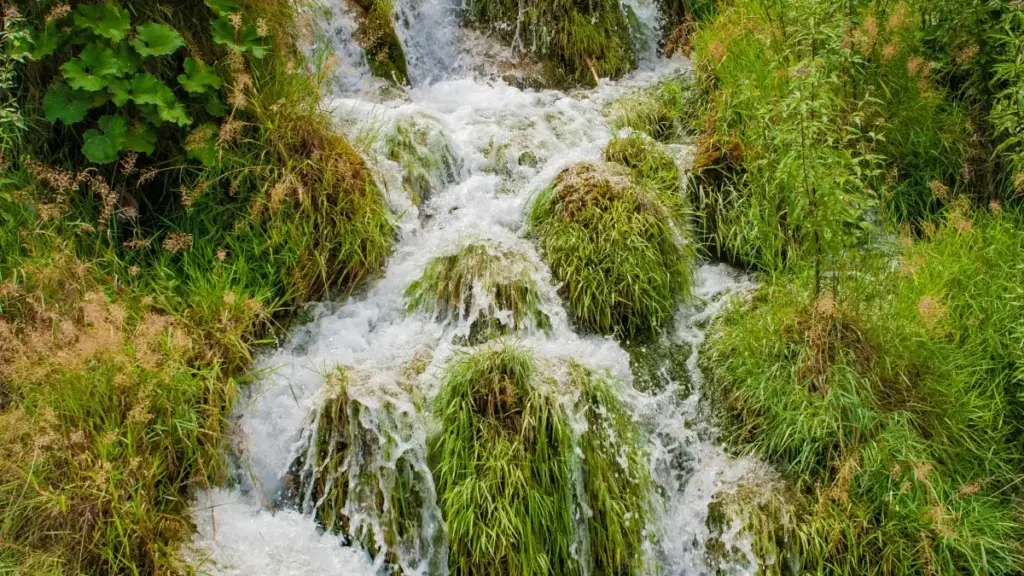 Praktičan vodič za kreatore iz Bosne i Hercegovine: kako kontaktirati britanske brendove preko Roposo, dogovoriti dugačke recenzije i povećati šanse za plaćene partnerstva.