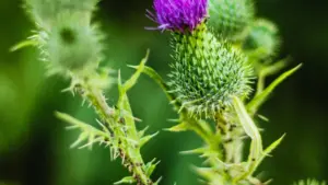 Praktičan vodič za kreativce iz BiH: kako kontaktirati marokanské brendove povezane s Netflix sadržajem i napraviti follow-up koji fanovi vole.