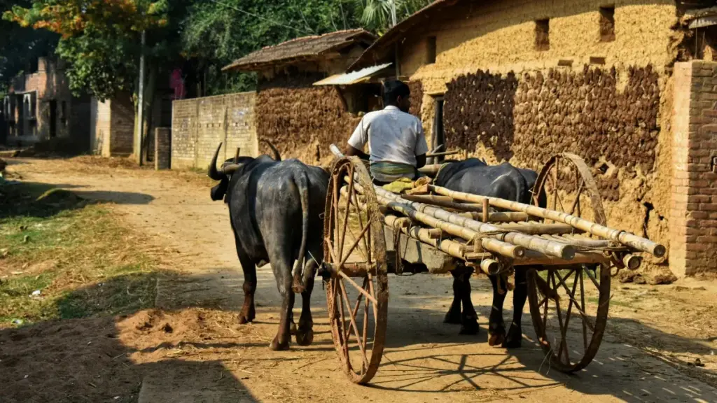 Praktičan vodič za kreatore iz Bosne i Hercegovine: kako kontaktirati nigerijske brendove preko OnlyFans i srodnih kanala, zaštititi privatnost i pretvoriti PR pakete u sadržaj koji prodaje.