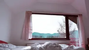 Praktičan vodič za bosanske kreatore: kako pronaći, kontaktirati i pregovarati sa panamskim brendovima na Amazonu za wellness kampanje.