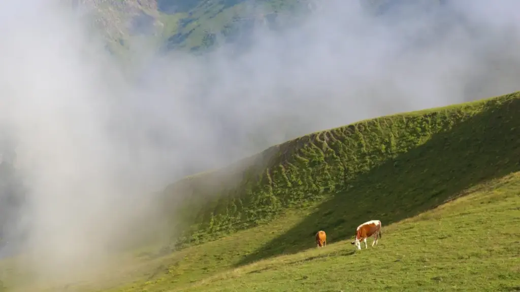 Praktičan vodič za oglašivače iz BiH: kako locirati indonezijske Douyin kreatore, slati PR pakete i osigurati konverzije uz lokalne taktike i rizike.