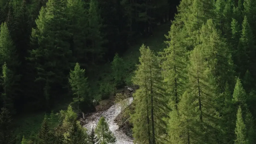 Praktičan vodič za bosanskohercegovačke kreatore: kako doći do kenijskih brendova koji prodaju na Lazada, pregovaranje za behind-the-scenes snimke i šta očekivati od platforme.