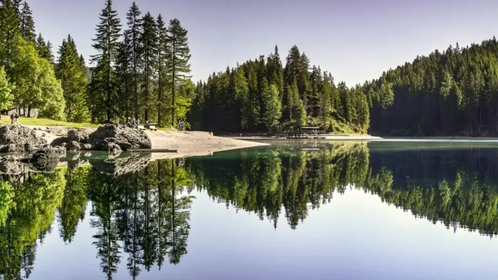 Praktičan vodič za oglašivače iz BiH: kako identifikovati, angažovati i mjeriti WhatsApp kreatore iz Puerto Rica za hype-driven flash prodaje.