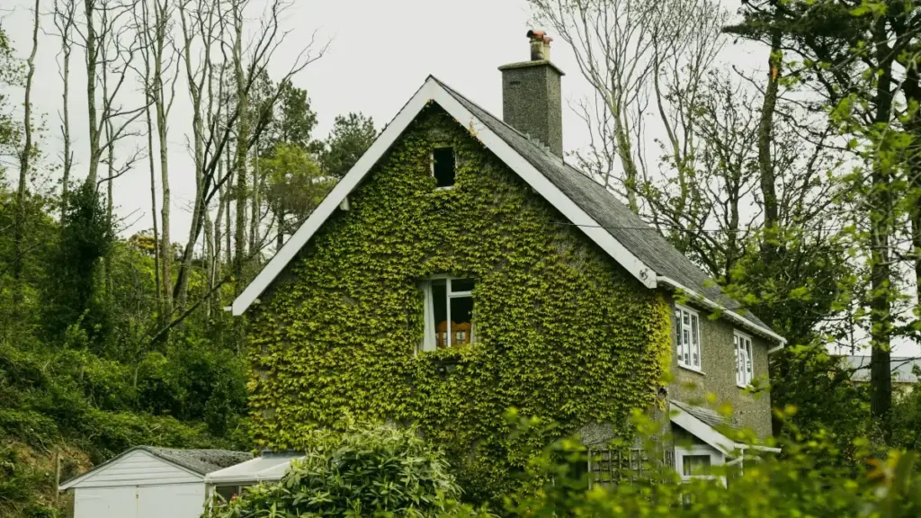 Praktičan vodič za brendove iz BiH kako naći i angažovati Latvia kreatore na Threads za limitirane drops — taktike, kanali, rizici i primjer kampanje.