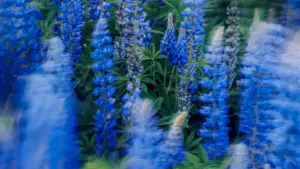 Praktičan vodič za bh. kreatore: kako pronaći i kontaktirati crnogorske brendove na Amazonu radi testiranja i recenziranja edukativnih platformi.