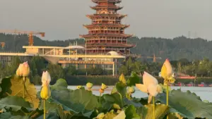 Praktican vodič za brendove iz Bosne i Hercegovine: kako pronaći, procijeniti i angažovati venezuelanske Discord kreatore za promociju nove kolekcije odjeće.