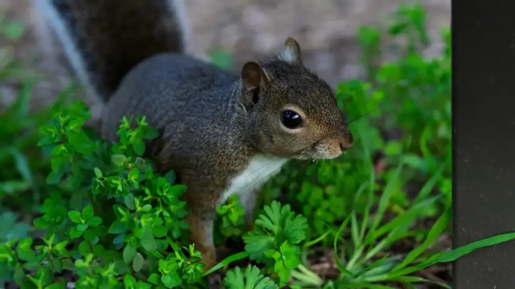 Praktičan vodič za bh. oglašivače: gdje i kako naći Austria Takatak kreatore, šta tražiti u partnerstvu i kako pokrenuti društveno odgovorne kampanje.
