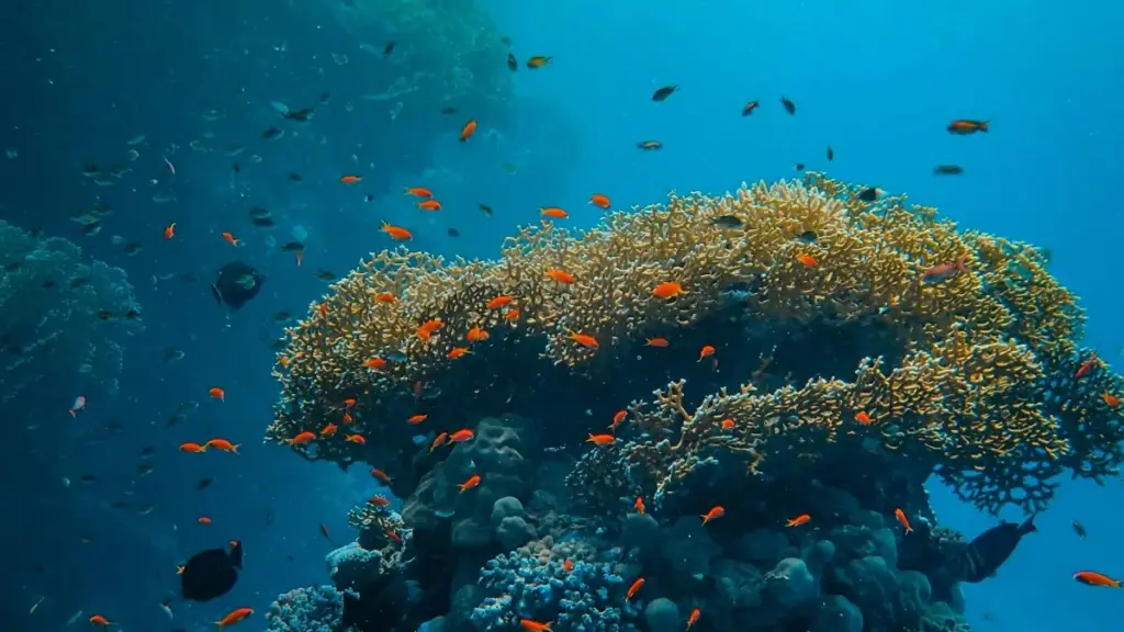 Praktičan vodič za oglašivače iz BiH: kako ciljati i pronaći grčke Etsy kreatore da pošalju promet na vašu landing stranicu, taktike outreacha, i lokalne prilagodbe.