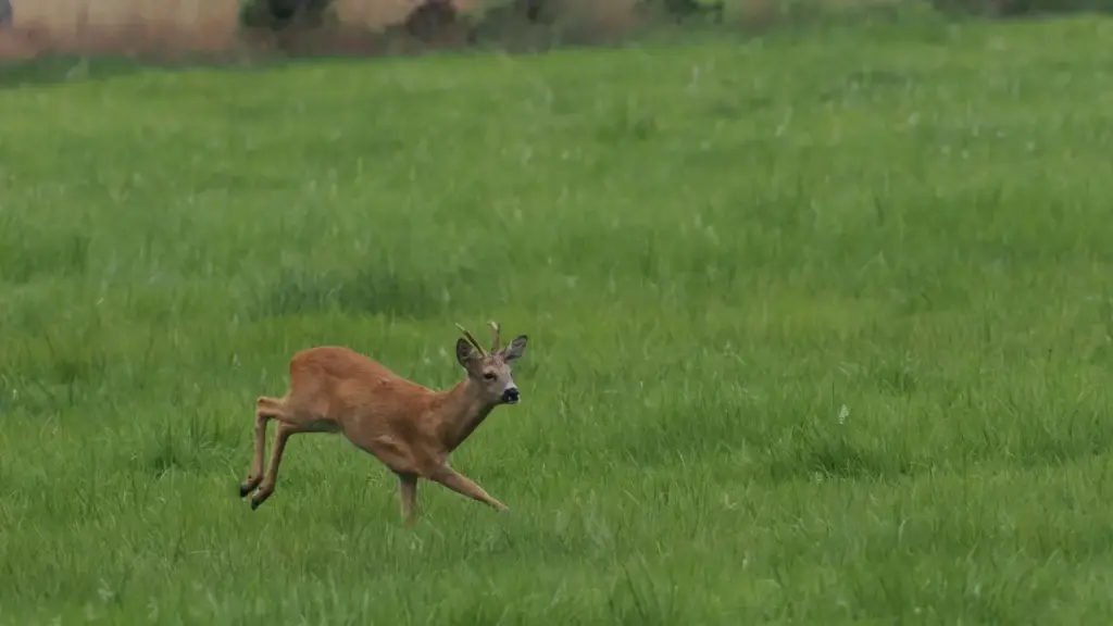 Praktičan vodič za oglašivače iz BiH: kako locirati, verificirati i aktivirati Twitch kreatore iz Venezuele za lansiranje limited edition dropova.