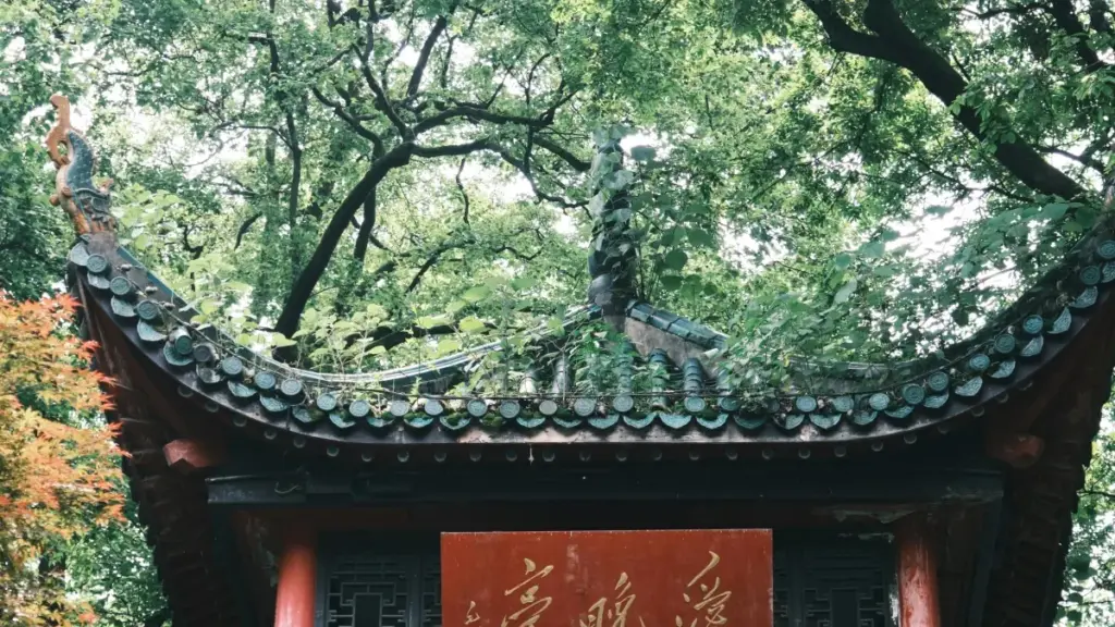 Praktičan vodič za creatore iz BiH: kako naći Venezuela brendove na Instagramu, ući u DM bez blama i dogovoriti duge product reviewe.