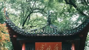 Praktičan vodič za creatore iz BiH: kako naći Venezuela brendove na Instagramu, ući u DM bez blama i dogovoriti duge product reviewe.