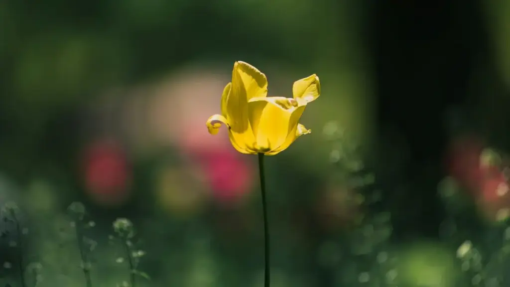 Praktičan vodič za kreatore iz BiH: kako pronaći Montenegro brendove na Taobau, otvoriti razgovor i pretvoriti običan upit u UGC saradnju.