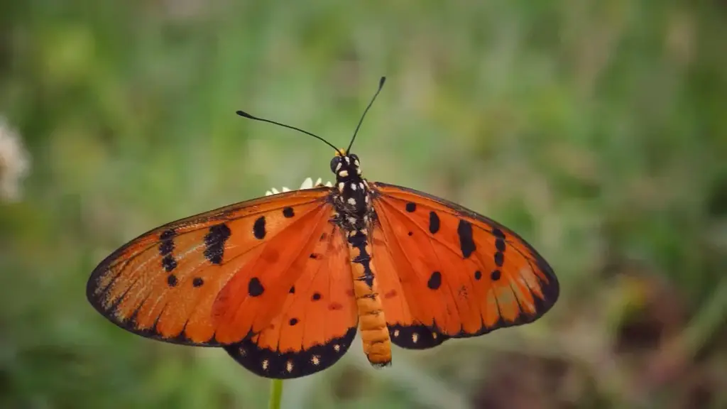 Praktičan vodič za kreatore iz BiH: kako doći do španskih brendova vezanih za Netflix i pretvoriti to u travel vlog saradnje koje imaju smisla.